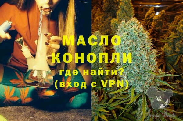 индика Абинск