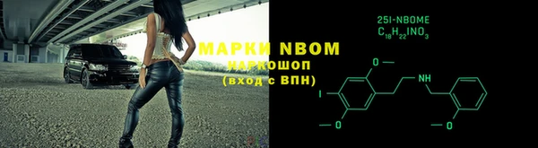 индика Абинск