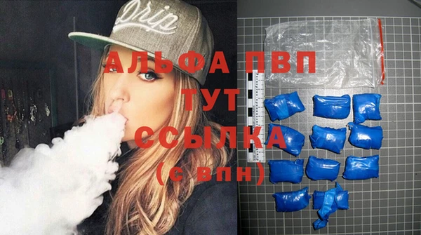 индика Абинск