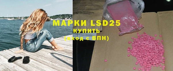 индика Абинск