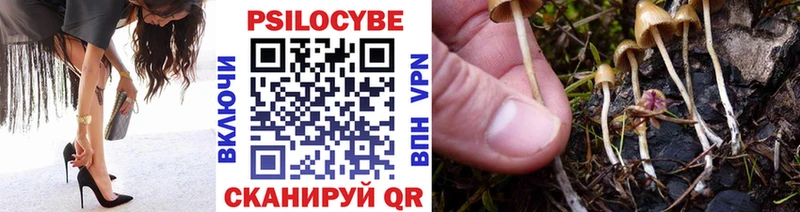 Псилоцибиновые грибы Psilocybe  цена наркотик  Серпухов 