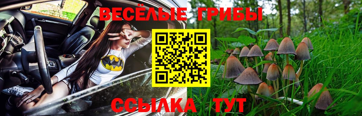 Серпухов  Псилоцибиновые грибы GOLDEN TEACHER  Вход с VPN 
